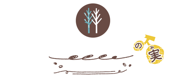 シュガーバターの木の実 アーモンドショコラ