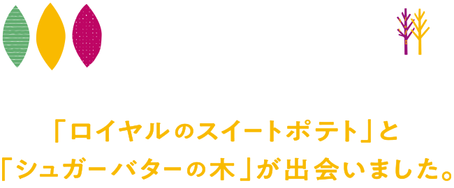 シュガーバターサンドの木 ロイヤルのスイートポテト風